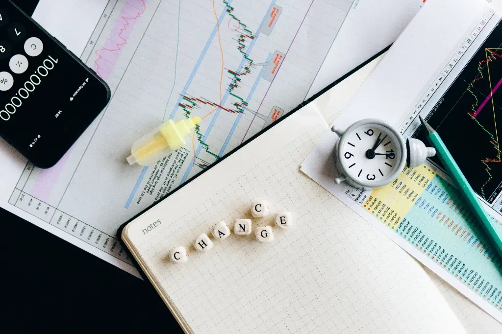 akcje spółek o dużej kapitalizacji